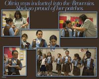 31 Brownies Induction