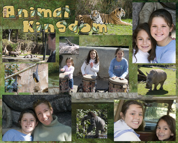 05 Animal Kingdom