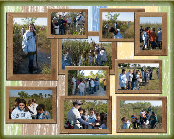 66 Everglades Field Trip