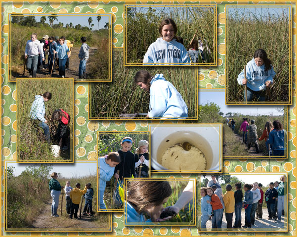 67 Everglades Field Trip