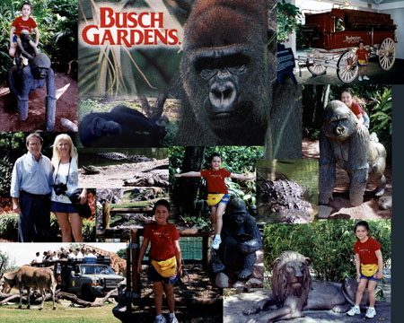 24 Busch Gardens