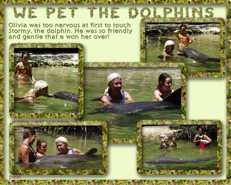 51 Petting the Dolphins