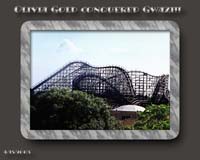 29 Busch Gardens